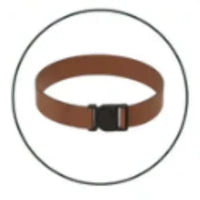 Free Premium Support Belt